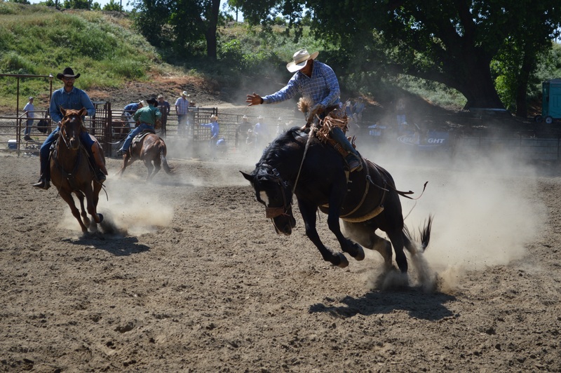 rodeo